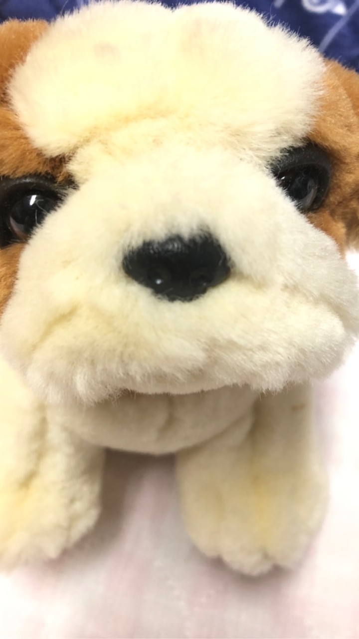 ぬいぐるみが好きな人の部屋