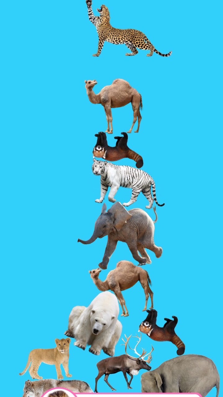 お前の一番になりたい‼️全緩也ハント