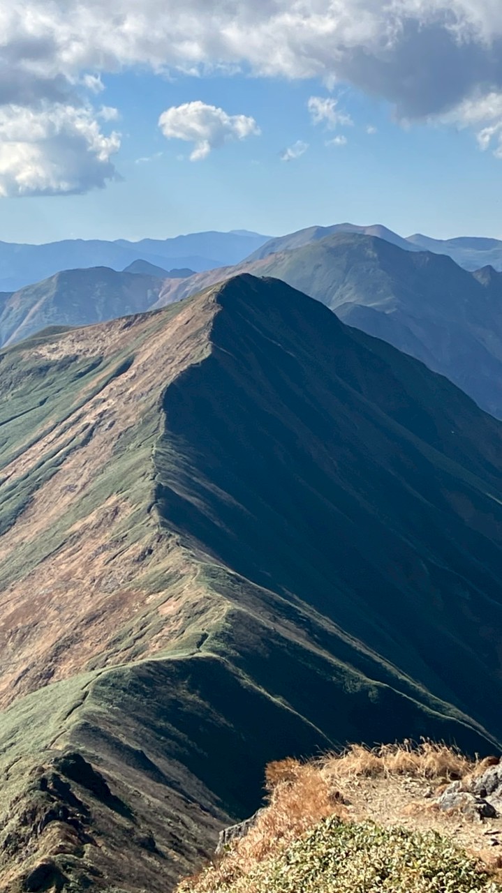 豊田登山隊