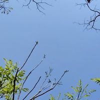 學佛小站，五十三參菩薩行