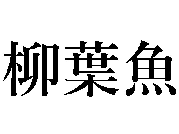 難読漢字 知らずに食べてる 松魚 公魚の読み方は ハルメク365