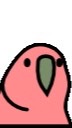 THE なにもしない団