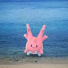 ポケモンゴーだいすきクラブin奄美