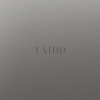 TAIDD 羽球隊  臨打群 (台中星期二羽球)