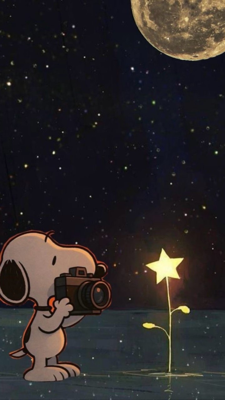 深夜暇な人集合‼️