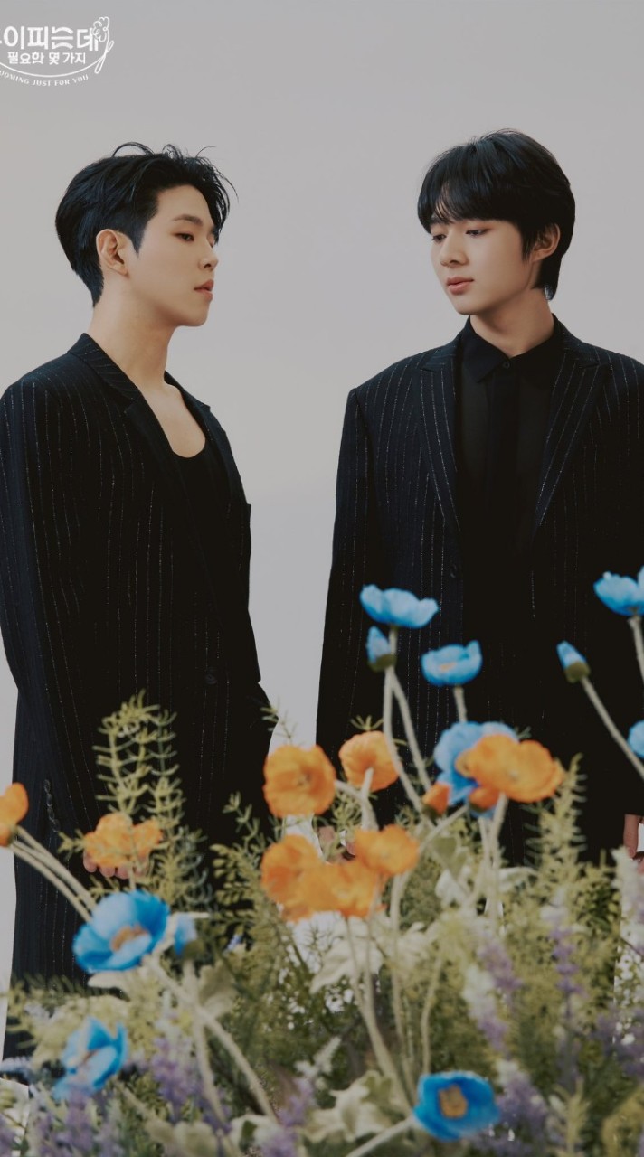 Blooming Streaming 💐