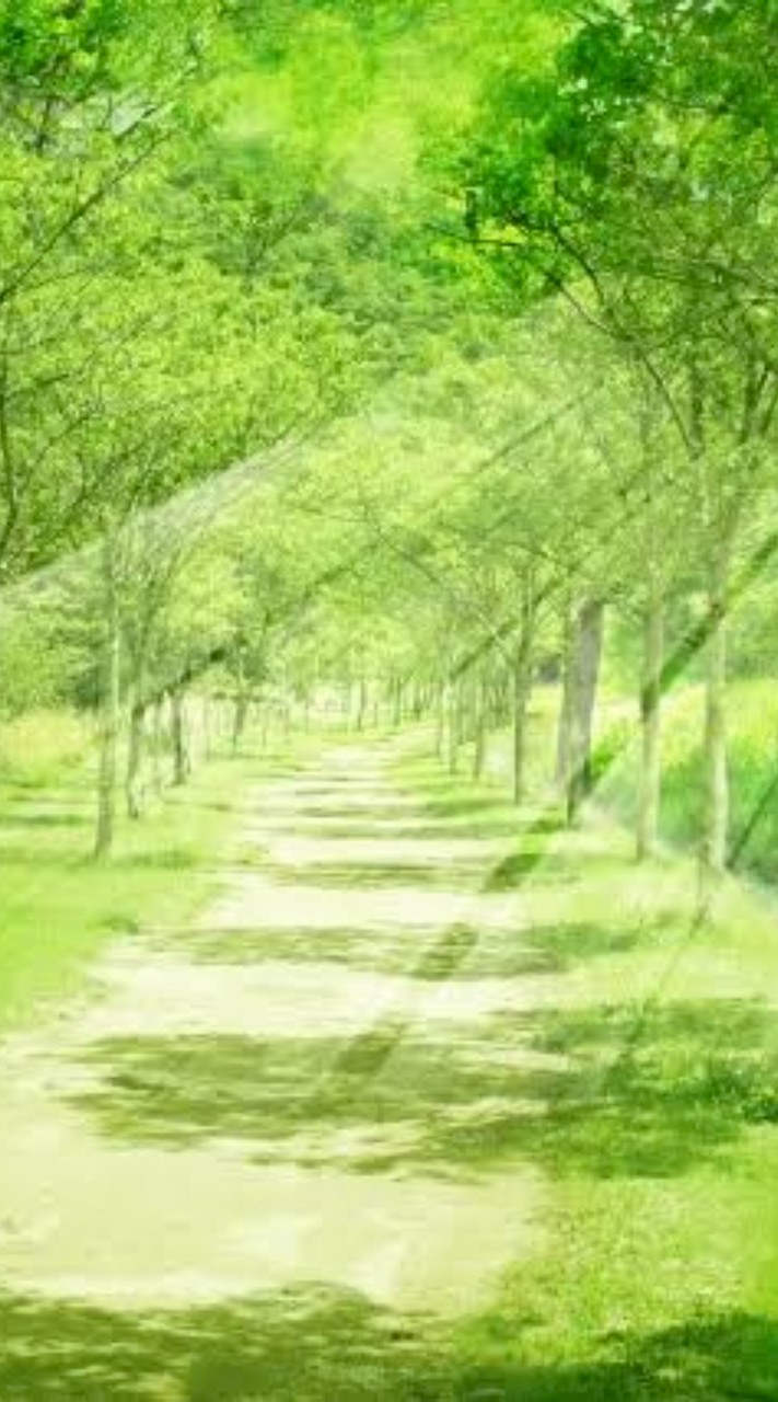 🌳50代・60代✨時々ドキドキ脇道✨🌳