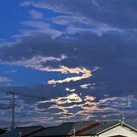 かまちょ、甘えた、構ってくれる人募集中！！雑談あり