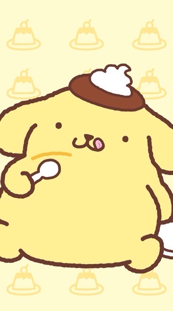 🍮胖胖的三麗鷗代購