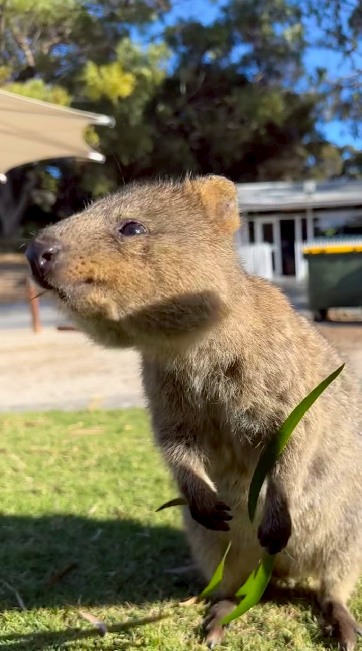 不知道要叫什麼（？