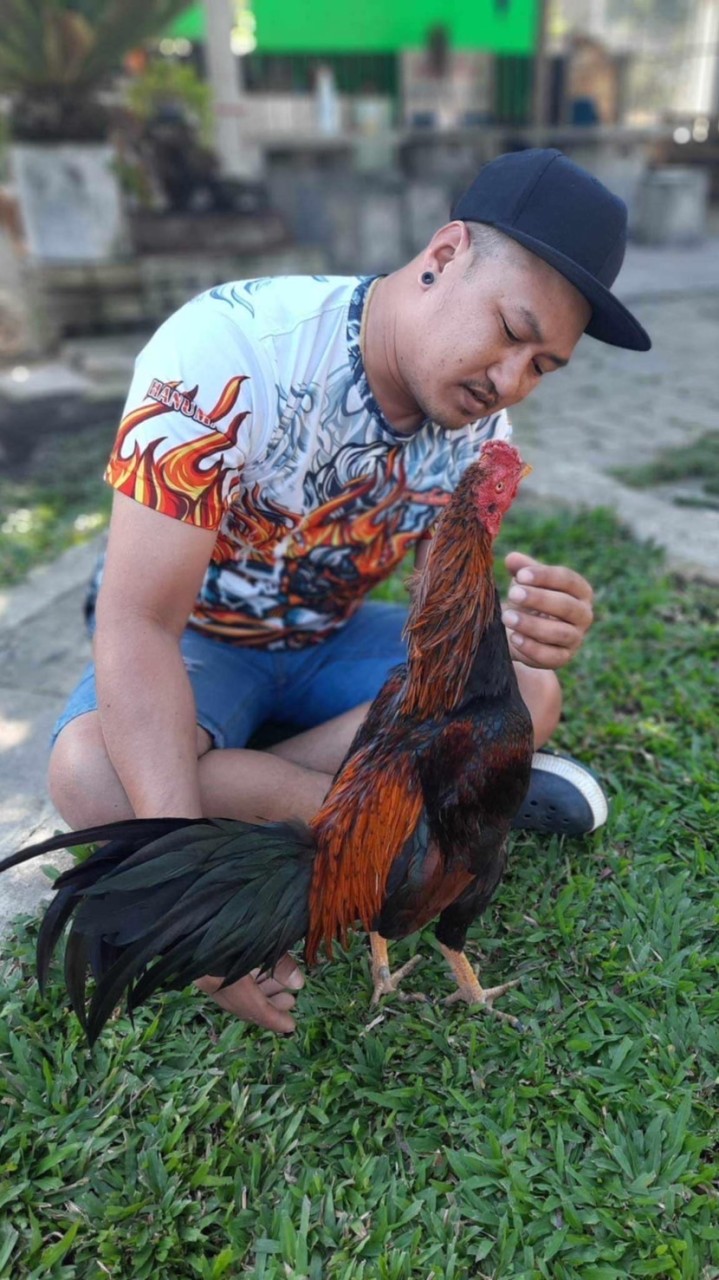 ส.เพชรเต็งหนึ่ง