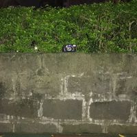 每日主題攝影📷