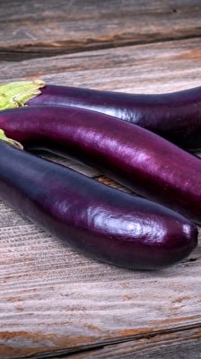 ⭐️🍆小母懶豬後援會🧺🐷