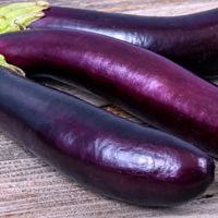 ⭐️🍆小母懶豬後援會🧺🐷