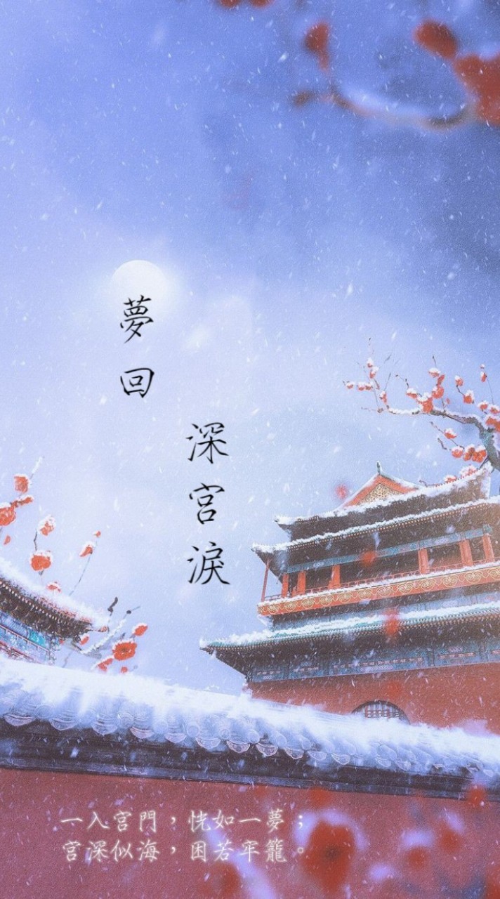 夢回·深宮淚
