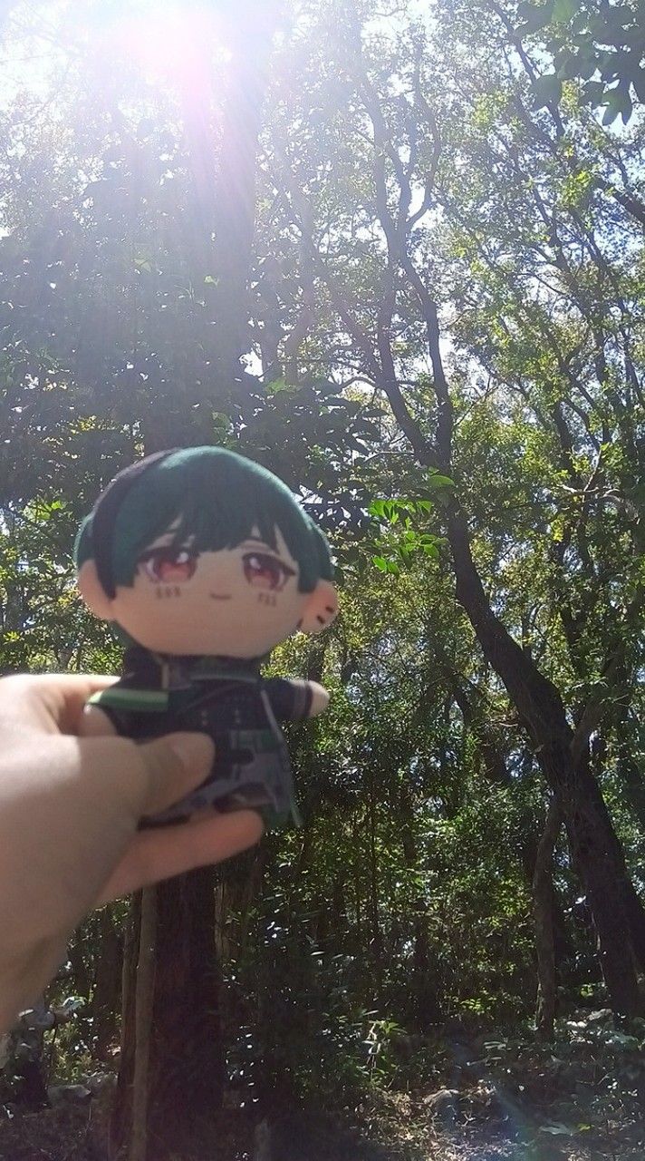 四国のしくふぁみさん集まれぇ〜!その他の人もカモン!
