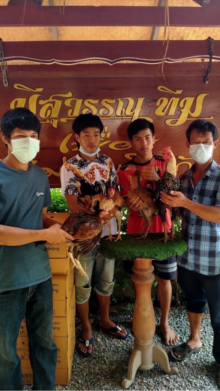 ซุ้ม ส.คำสุข ฟาร์ม 🐓