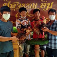 ซุ้ม ส.คำสุข ฟาร์ม 🐓