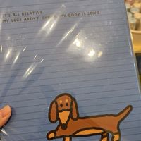 4／20-／23首爾buy