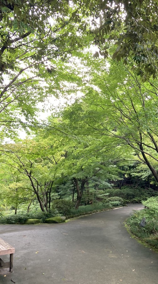 🌻養生保健知識💮資訊交流🦢