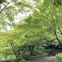 🌻養生保健知識💮資訊交流🦢