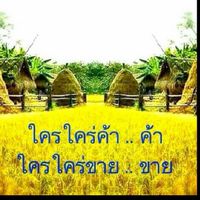 °ตลาดไลน์รวม•All Line.