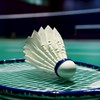 มือเบา..badminton
