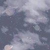 素材小鋪(⁎⁍̴̛ᴗ⁍̴̛⁎)