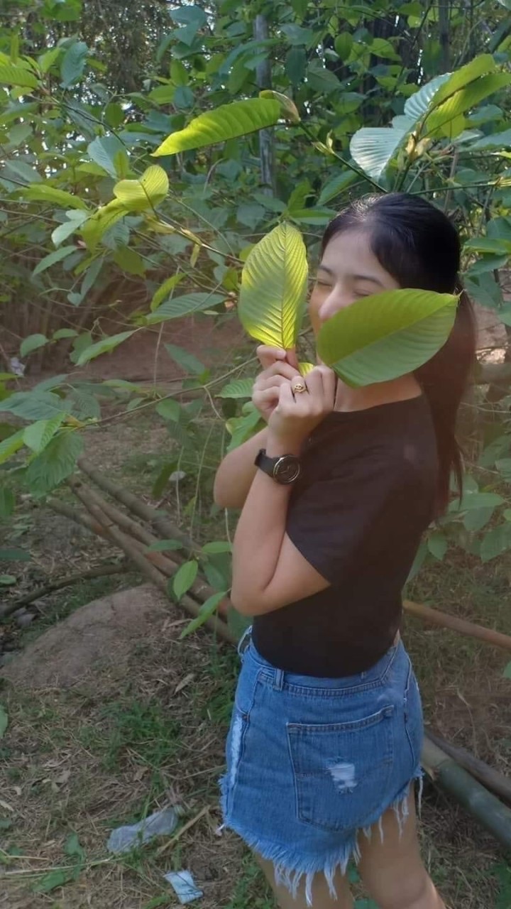 🍃กระท่อมไทยแลนด์แดนสตอ🥇byน้าบ่าว