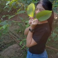 🍃กระท่อมไทยแลนด์แดนสตอ🥇byน้าบ่าว