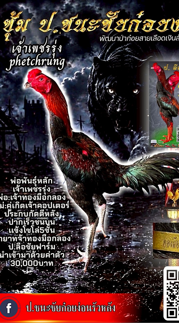 ป.ชนะชัยก๋อยง่อนพัฒนาเเข้งรัวหลัง