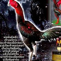 ป.ชนะชัยก๋อยง่อนพัฒนาเเข้งรัวหลัง