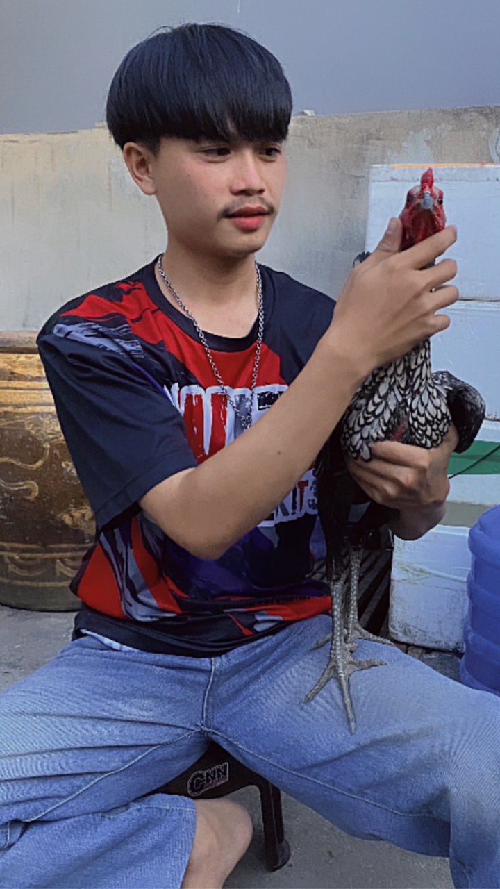 ส.ธนวัฒน์ ฟาร์ม ไก่ชน สุรินทร์