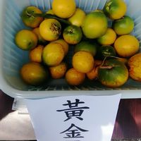 営養健康黃金果.営養健康黃金果汁.營養建康黃金果冰沙
