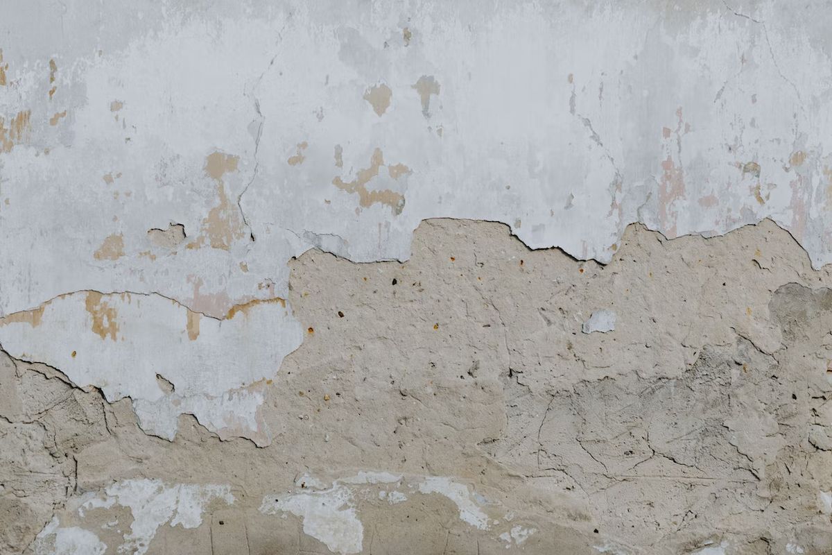 白華；壁癌；解決方法；預防方法；居家；建築