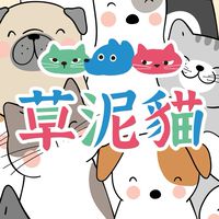 草泥貓樂園