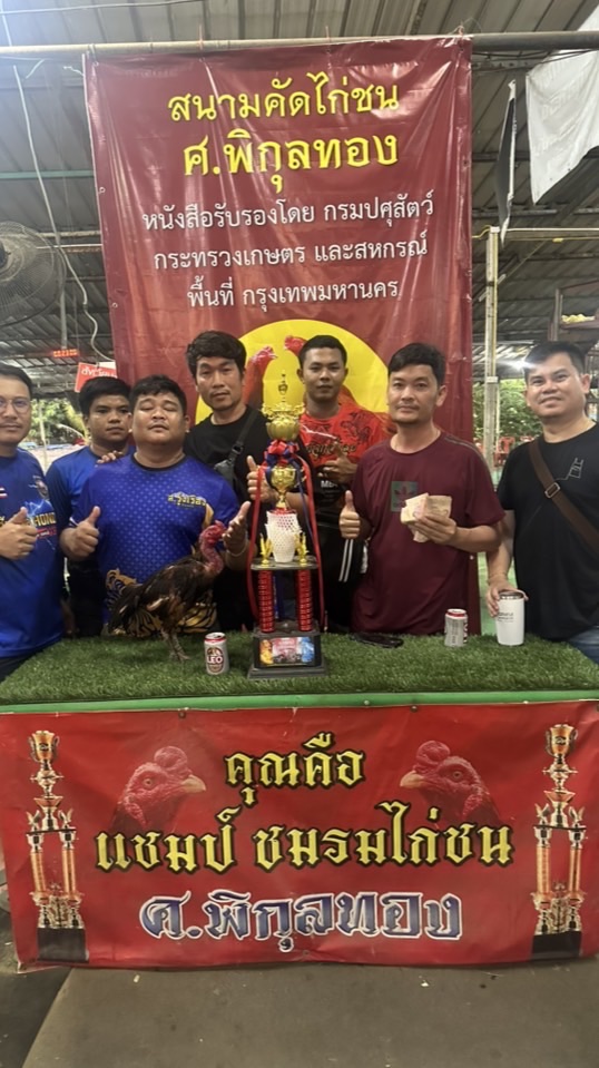 PJทีม ไก่ชนรากหญ้า