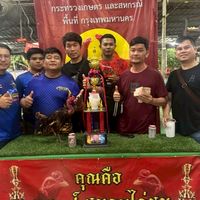 PJทีม ไก่ชนรากหญ้า