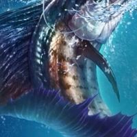 釣魚發燒友 大亨傳奇 《不知道叫啥》