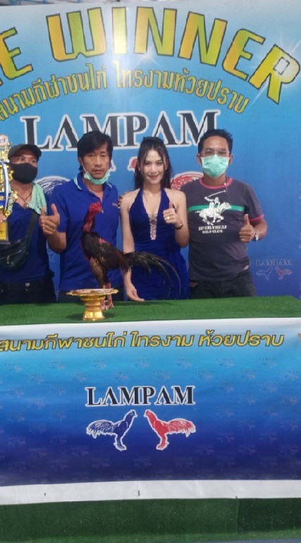 หนึ่เทพฟาร์มไก่ชน