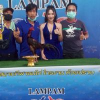 หนึ่เทพฟาร์มไก่ชน