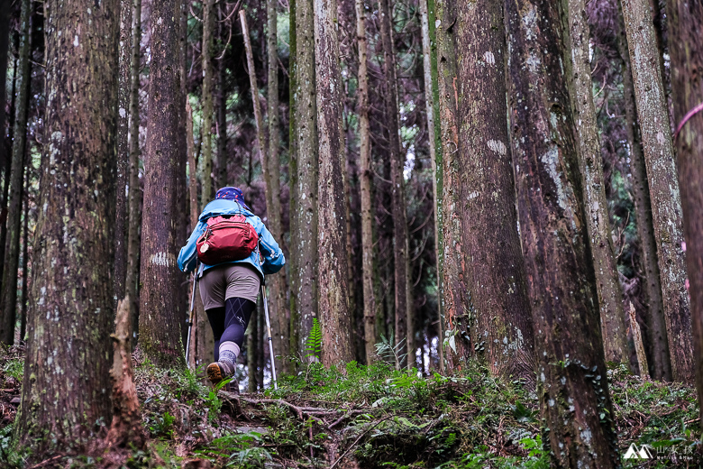 山女孩Melissa_苗栗南庄_向天湖山_飛機殘骸_三角湖山-6694.jpg