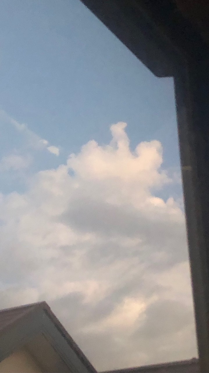 愛うさぎ❣️