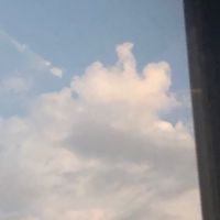 愛うさぎ❣️