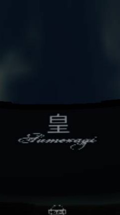 【ALESS】カーパーキング公式オプチャ