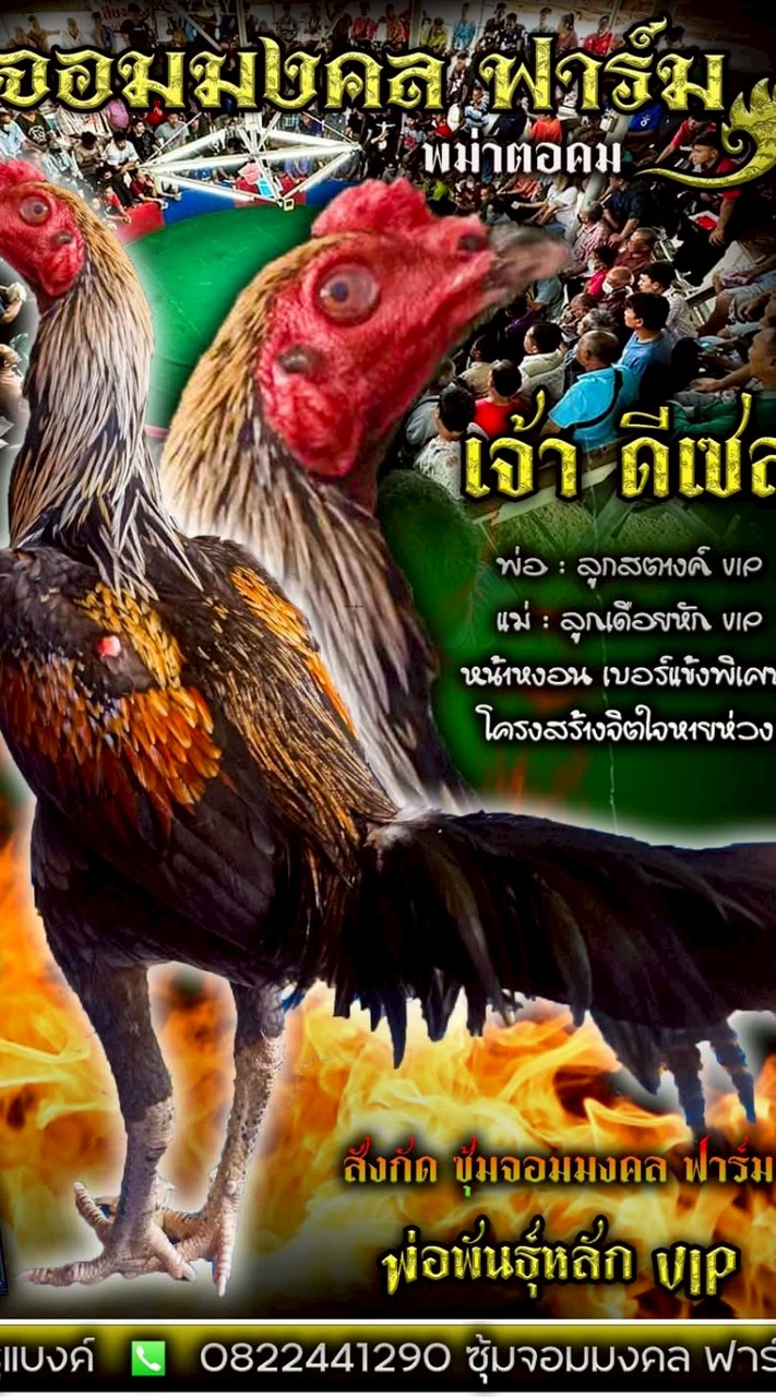 ซุ้มไก่ชน จอมมงคล