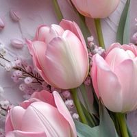 ｡❀·̩͙꙳｡秘密の恋愛✿大人素敵女子部屋｡❀·̩͙꙳｡