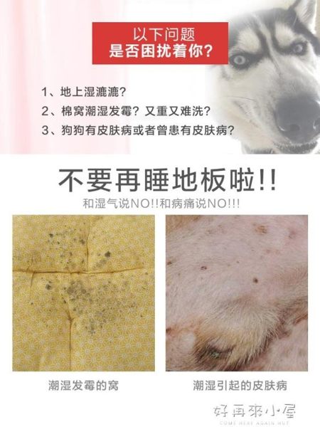 狗窩狗床寵物行軍床狗窩夏天中大型犬泰迪墊子可拆洗防潮四季通用 NMS好再來小屋