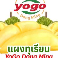 แผงทุเรียนYoGo DongMing🙏ยินดีต้อนรับลูกค้าและชาวสวน