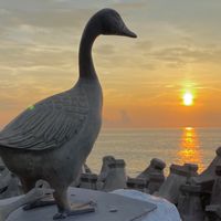 十二號橋空間『寧靜的堅持』